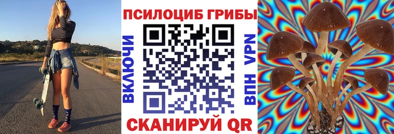 Галлюциногенные грибы Psilocybe  даркнет наркотические препараты  Собинка  купить наркотики цена 
